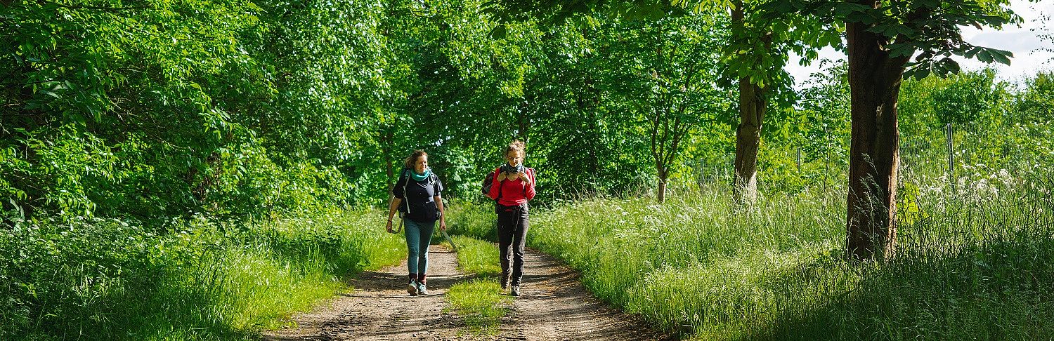 Wandern im Naturpark (Foto: Marie Konrad) Wandern im Naturpark (Foto: Marie Konrad)